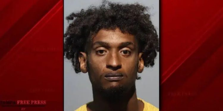 Arrest Made In Brutal Florida Trail Attack