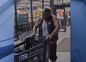 Brookfield Metro Market Theft; Suspect Wanted And Stole $1,300 Balloon Inflator