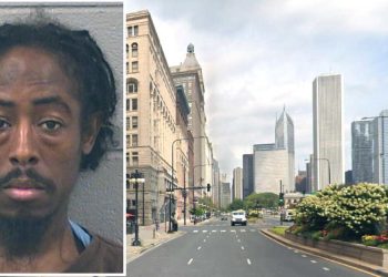 Chicago Man Sentenced To Life In Prison Plus 20 Years For Man Who Killed 2 Friends During Birthday Outing In The Loop