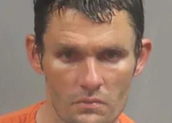 Eureka-area Man Apprehended After Being Hit By A Pickup