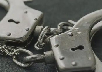 Feds Indict Tampa Woman in Alleged Multi-State Insurance Scam