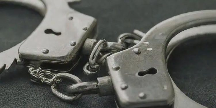 Feds Indict Tampa Woman in Alleged Multi-State Insurance Scam