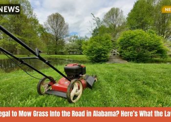 Is It Illegal to Mow Grass Into the Road in Alabama Here’s What the Law Says