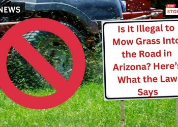 Is It Illegal to Mow Grass Into the Road in Arizona Here’s What the Law Says