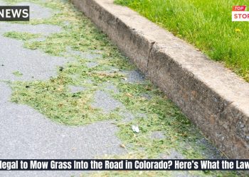 Is It Illegal to Mow Grass Into the Road in Colorado Here’s What the Law Says