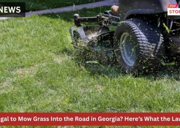 Is It Illegal to Mow Grass Into the Road in Georgia? Here’s What the Law Says