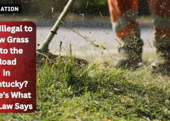 Is It Illegal to Mow Grass Into the Road in Kentucky? Here’s What the Law Says