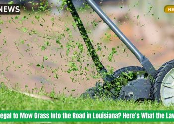 Is It Illegal to Mow Grass Into the Road in Louisiana Here’s What the Law Says