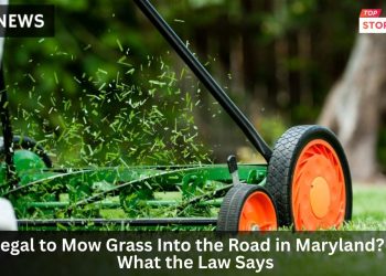 Is It Illegal to Mow Grass Into the Road in Maryland Here’s What the Law Says