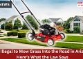 Is It Illegal to Mow Grass Into the Road in Massachusetts Here’s What the Law Says