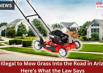 Is It Illegal to Mow Grass Into the Road in Massachusetts Here’s What the Law Says