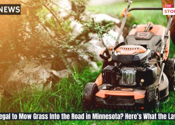 Is It Illegal to Mow Grass Into the Road in Minnesota Here’s What the Law Says