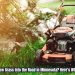 Is It Illegal to Mow Grass Into the Road in Minnesota Here’s What the Law Says