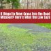 Is It Illegal to Mow Grass Into the Road in Missouri Here’s What the Law Says