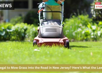 Is It Illegal to Mow Grass Into the Road in New Jersey Here’s What the Law Says