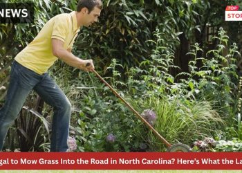 Is It Illegal to Mow Grass Into the Road in North Carolina Here’s What the Law Says
