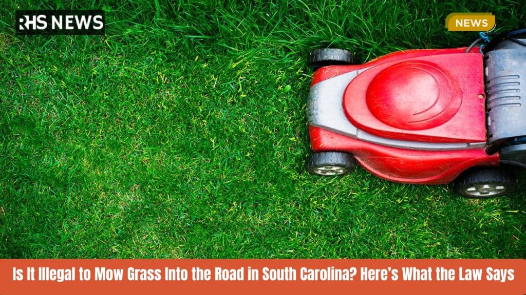 Is It Illegal to Mow Grass Into the Road in South Carolina Here’s What the Law Says
