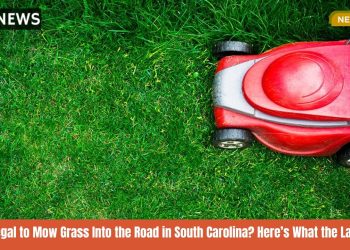 Is It Illegal to Mow Grass Into the Road in South Carolina Here’s What the Law Says