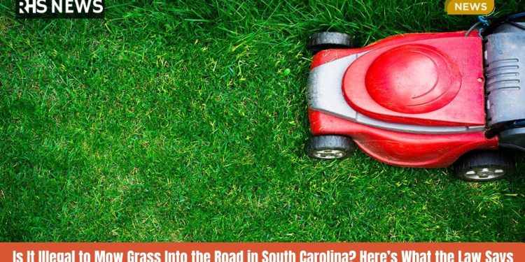 Is It Illegal to Mow Grass Into the Road in South Carolina Here’s What the Law Says