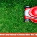 Is It Illegal to Mow Grass Into the Road in South Carolina Here’s What the Law Says
