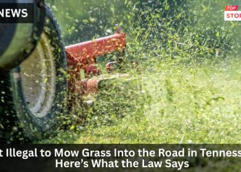 Is It Illegal to Mow Grass Into the Road in Tennessee Here’s What the Law Says