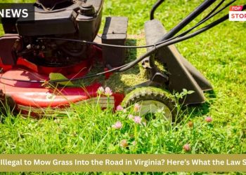 Is It Illegal to Mow Grass Into the Road in Virginia Here’s What the Law Says