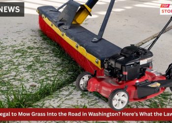 Is It Illegal to Mow Grass Into the Road in Washington? Here’s What the Law Says