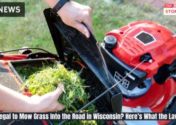 Is It Illegal to Mow Grass Into the Road in Wisconsin Here’s What the Law Says