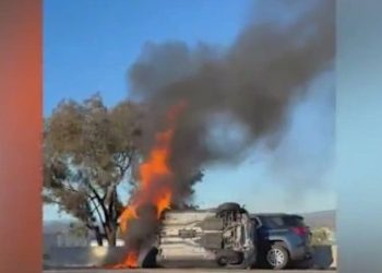 Leesburg Teenager Dies After Vehicles Crash On S.R. 44 Near Volusia County