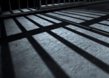 MS-13 Gang Member Sentenced To Prison For Brutal Kidnapping And Assault Of Teen At Long Island Psychiatric Center