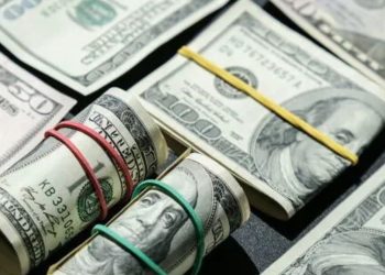 Mom And Son Each Win $50k Lottery Jackpot In Maryland