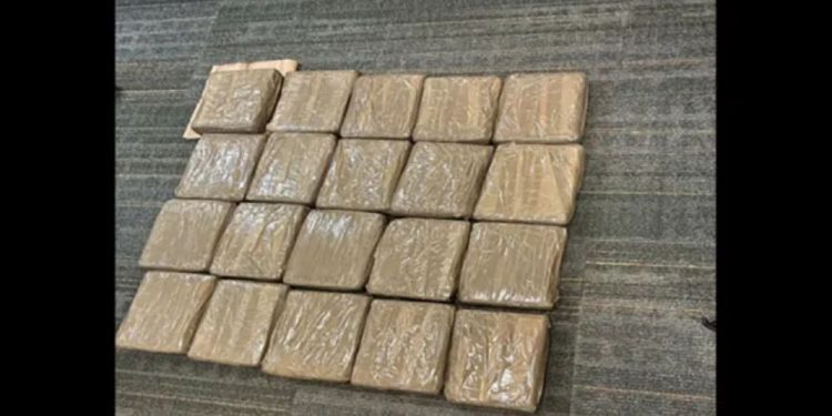 Nearly 3 Pounds Of Cocaine Confiscated In Grand Rapids Mail Drug Bust
