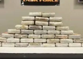 Nearly 40 Kilograms Of Fentanyl And Other Substances Confiscated From Large Drug Trafficking Organization