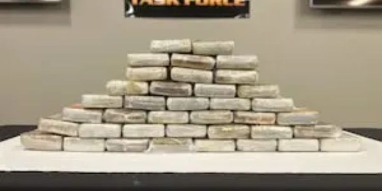 Nearly 40 Kilograms Of Fentanyl And Other Substances Confiscated From Large Drug Trafficking Organization