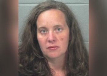 Pennsylvania Mother Taken Into Custody After 3-year-old Girl And Dog Reportedly Found Dead In Car