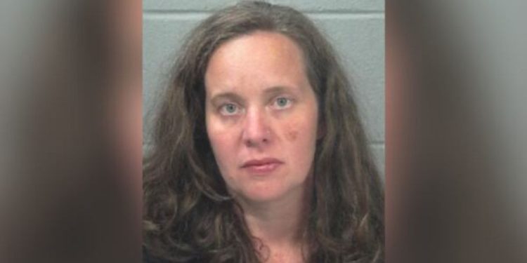 Pennsylvania Mother Taken Into Custody After 3-year-old Girl And Dog Reportedly Found Dead In Car