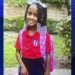 Police: 6-year-old Girl Reported Missing From Miami Gardens Is Back Home Safe