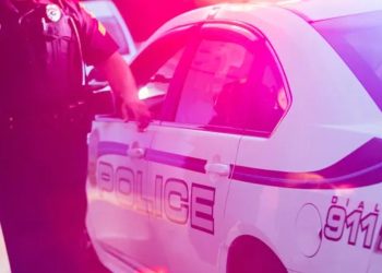 Police: Harrisburg Man Charged After Pointing Gun At Woman And Driving Over Her