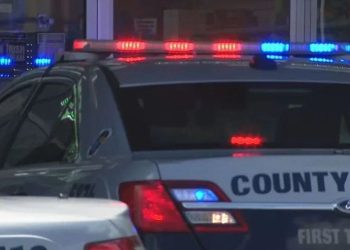 Police Pursue And Apprehend 5 Suspects Riding Around In Carjacked Auto