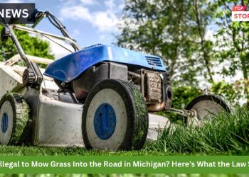 Refusing a Breathalyzer in North Carolina What Happens to Your Driver’s License (1)