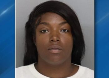 Second Local Mother Accused Of Encouraging Brawl Among Kids Detained