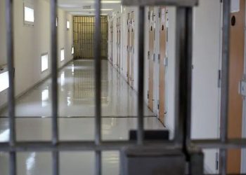 Texas Man Sentenced To Prison For Buying Guns For Cartel