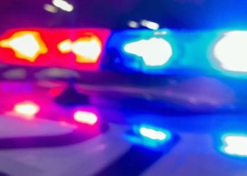 Wisconsin man taken into custody after allegedly stealing SUV with dog inside