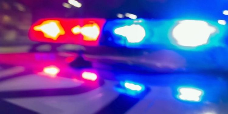 Wisconsin man taken into custody after allegedly stealing SUV with dog inside