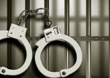 Woman Rescued After 6 Months In Captivity; Suspect Detained