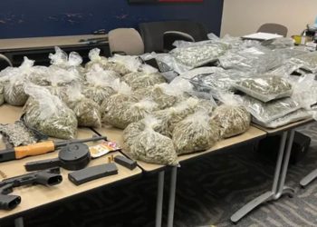 4 Apprehended In South Dallas Drug Bust And Over 50 Kilos Of Marijuana Seized