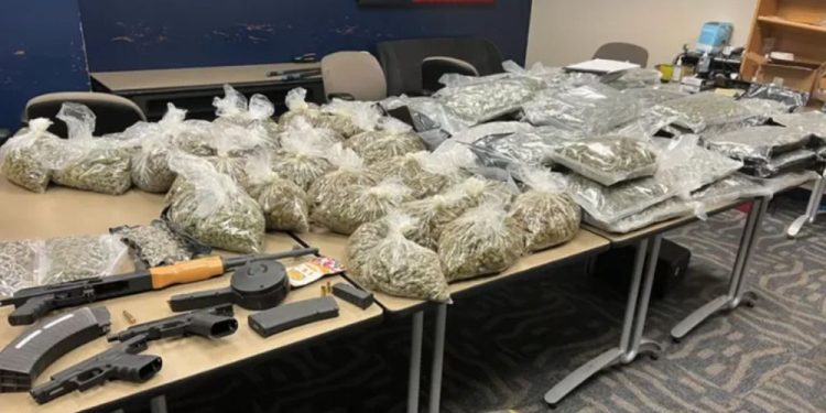 4 Apprehended In South Dallas Drug Bust And Over 50 Kilos Of Marijuana Seized