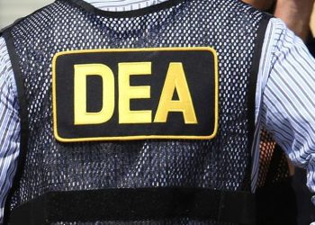 $498,000 Worth Of Narcotics And Illegal Vapes Seized In DC-Area During DEA Operation