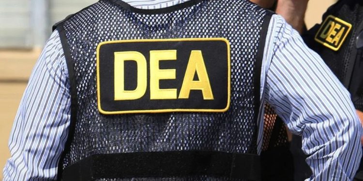 $498,000 Worth Of Narcotics And Illegal Vapes Seized In DC-Area During DEA Operation