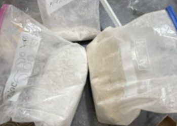 Bronx Fentanyl Factory Raid: Enough Drugs Seized to Kill 4 Million